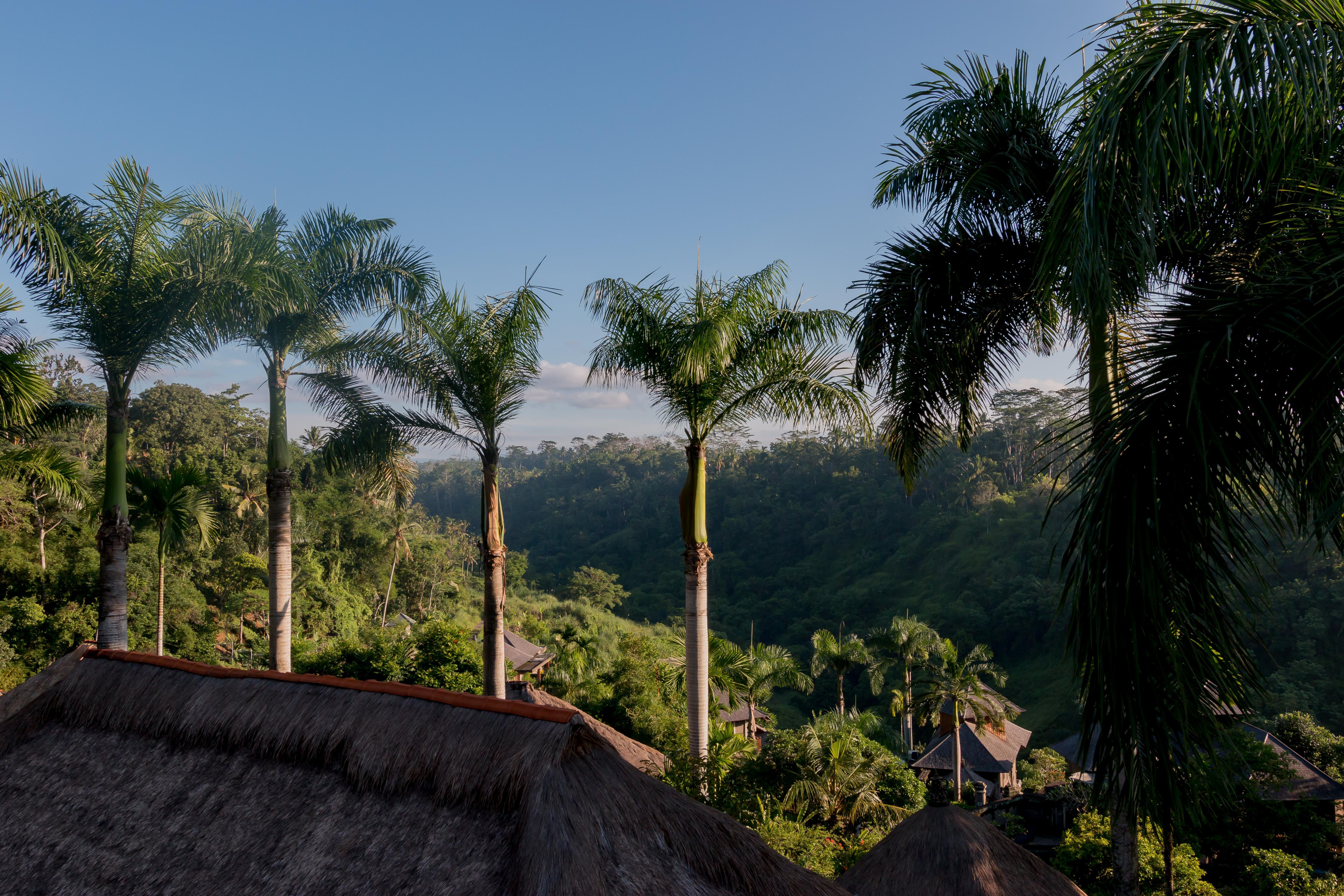 The Payogan Villa Resort And Spa Ubud  Exterior photo
